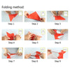 Motorized Paper Airplane DIY Kit