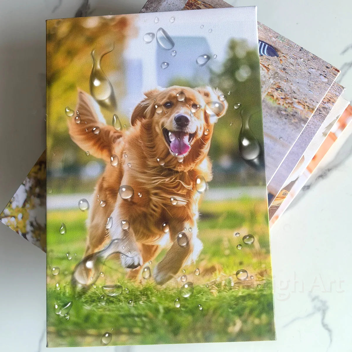 Goldener Retriever rennt durch nassen Rasen, mit Wassertropfen festgehalten.