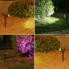 A collage showing solar-powered LED spotlights illuminating a green hedge and a gravel path at night.