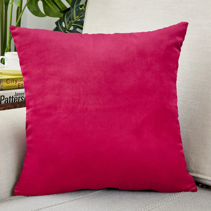 Velvet Throw Pillow Cover for Sofa and Bed Decor
