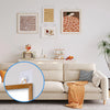 Adhesive Wall Hooks for Hanging Pictures and Decor