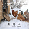 Automatic Chicken Coop Door with Timer