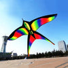 Colorful Rainbow Nylon Kites with 100m Line