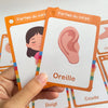 French Vocabulary Flashcards for Kids - Food, Animals, Fruits & Body Parts