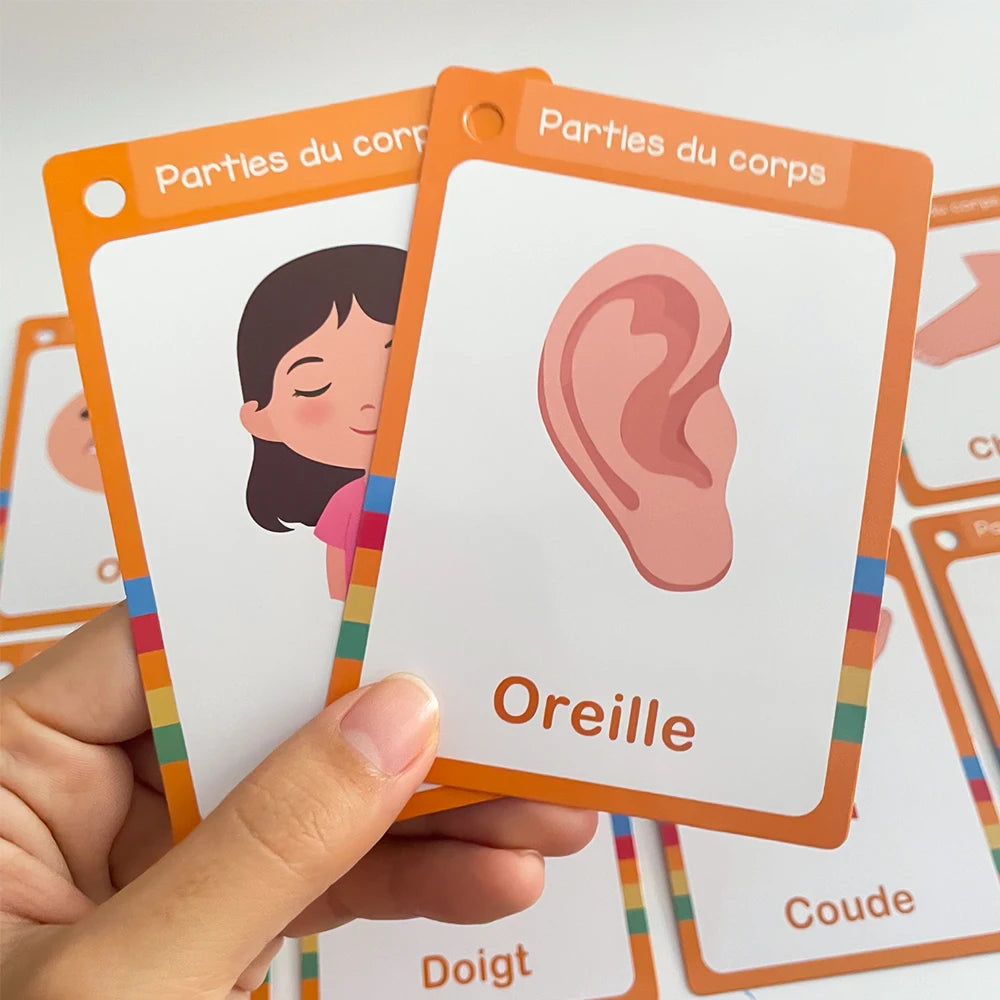 French Vocabulary Flashcards for Kids - Food, Animals, Fruits & Body Parts
