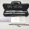 Black case containing a silver-plated 16-hole flute in C key with E mechanism and cleaning tools.