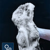 A close-up of a cleaning brush creating rich foam and powerful stain removal in water.