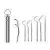 Reusable Stainless Steel Toothpick Set with Portable Case