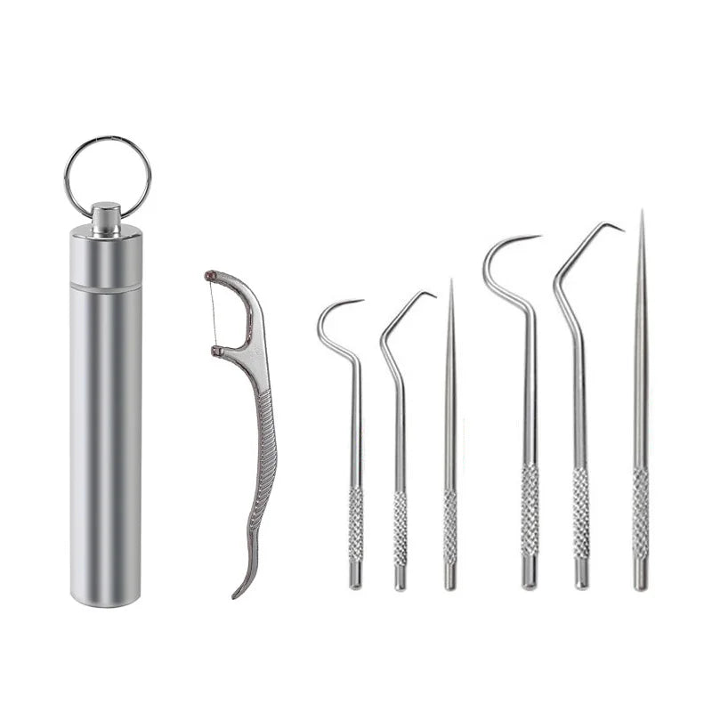 Reusable Stainless Steel Toothpick Set with Portable Case