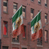 Aztec Eagle Calendar Decorative Flag