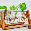 Tabletop Glass Planter Propagation Station with Wooden Rack