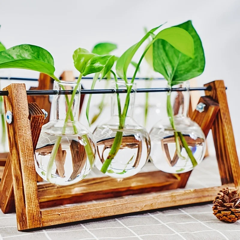 Tabletop Glass Planter Propagation Station with Wooden Rack