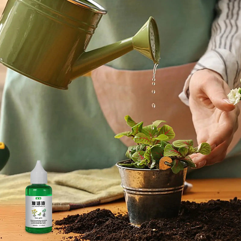 Plant Revitalizer Liquid - Root Growth & Bloom Booster
