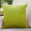 Velvet Throw Pillow Cover for Sofa and Bed Decor