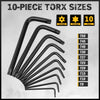 41-Piece Hex and Torx Key Set with Ratchet Handle and Storage Case