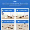Diagram showing the process of ant extermination using bait gel, including feeding ants and eliminating colonies.