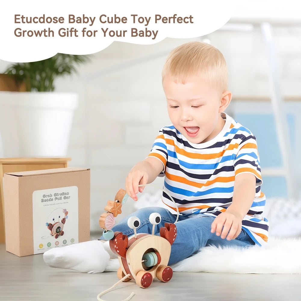 Montessori Wooden Crab Pull Toy with Bead Maze and Life Skills Activities