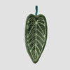 Leaf Design Ultra-Absorbent Quick-Dry Hand Towel with Hanging Loop