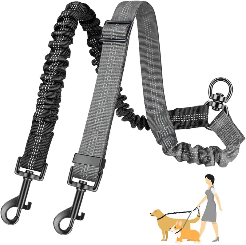 Dual Dog Leash with Shock-Absorbing Bungee