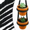Two potted succulent plants in orange ceramic pots suspended by black twisted cotton cord
