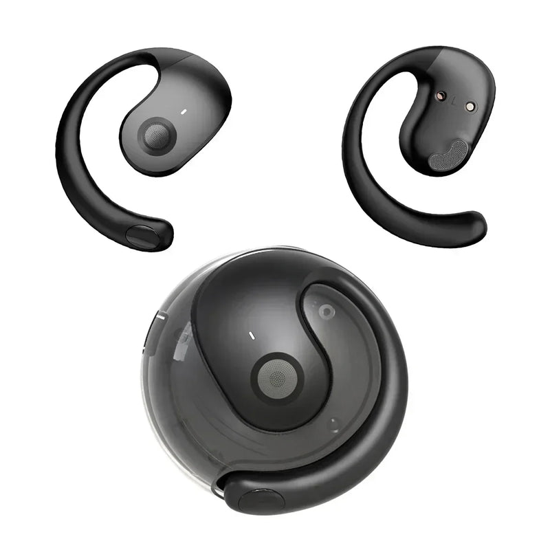 Real-Time Translation Earbuds