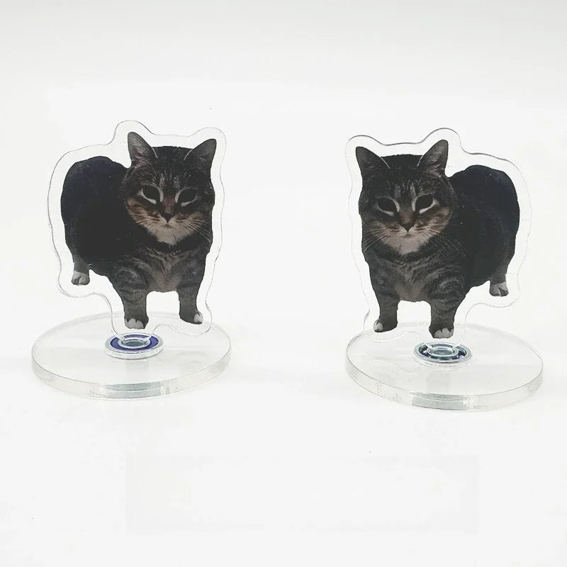 A black cat figurine mounted on a clear acrylic base, designed as a dashboard ornament.