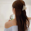 Elegant Acetate Hair Claw Clip for Women