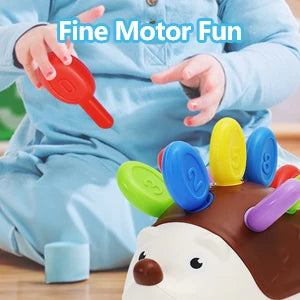 Montessori Sensory Hedgehog Toy for Toddlers