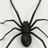 A realistic black spider is shown against a white background, used as a fridge magnet.