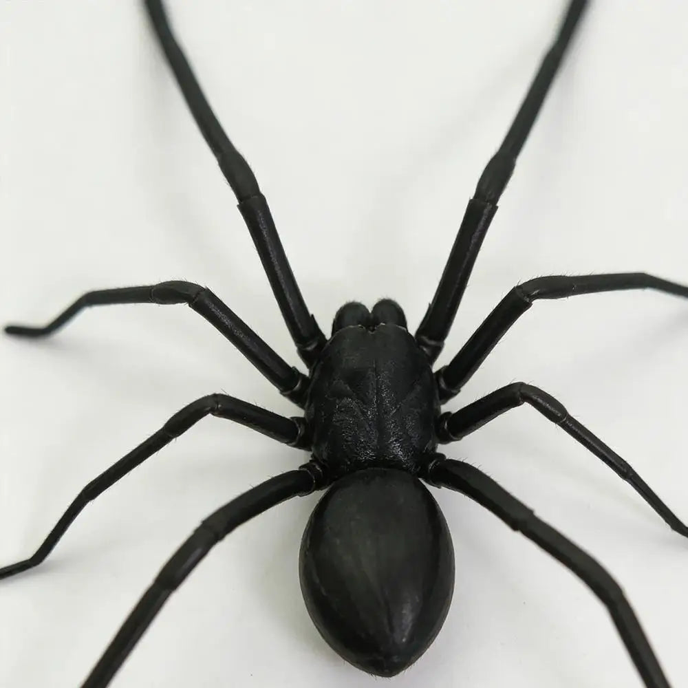A realistic black spider is shown against a white background, used as a fridge magnet.