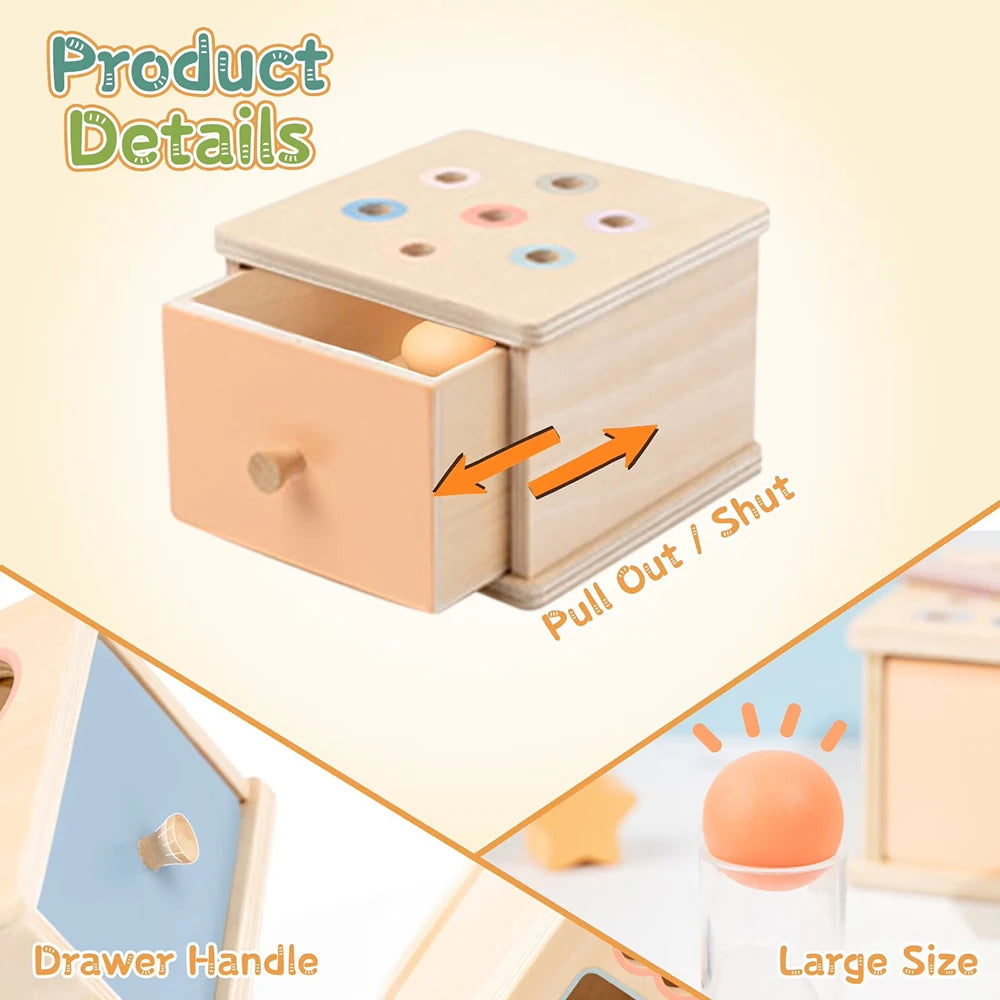 Montessori 4-in-1 Wooden Color Sorting & Shape Matching Box for Toddlers