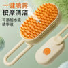 Brosse de toilettage rechargeable avec brumisation pour chiens et chats