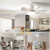Modern LED Ceiling Fan with Remote Control