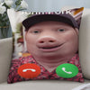 A novelty throw pillow cover featuring a cartoon face wearing a dark cap and green call icons on the shirt.