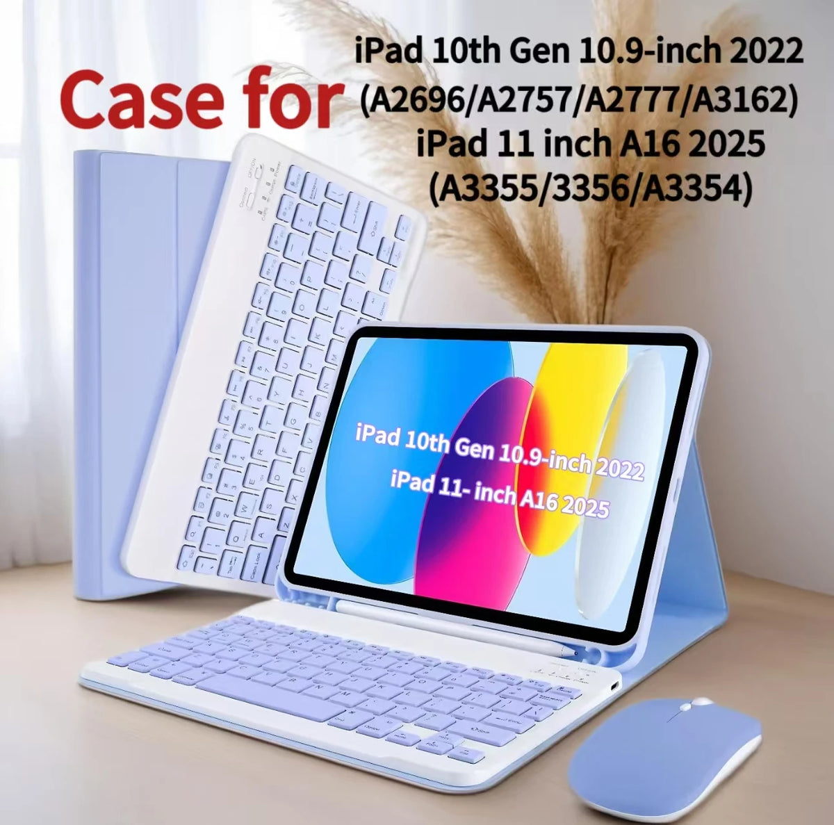 iPad Keyboard Case with Removable Cover