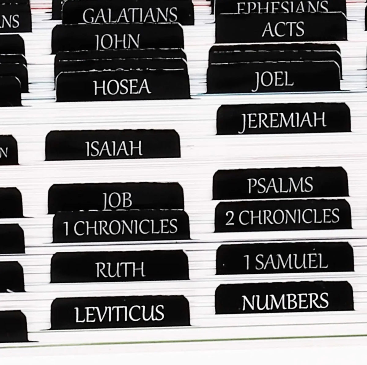 Large Print Repositionable Bible Tabs with Laminated Finish