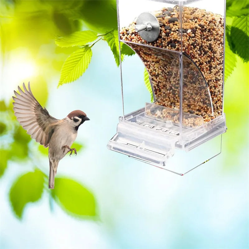 Clear acrylic bird feeder and waterer filled with seeds, hanging from a green leaf.