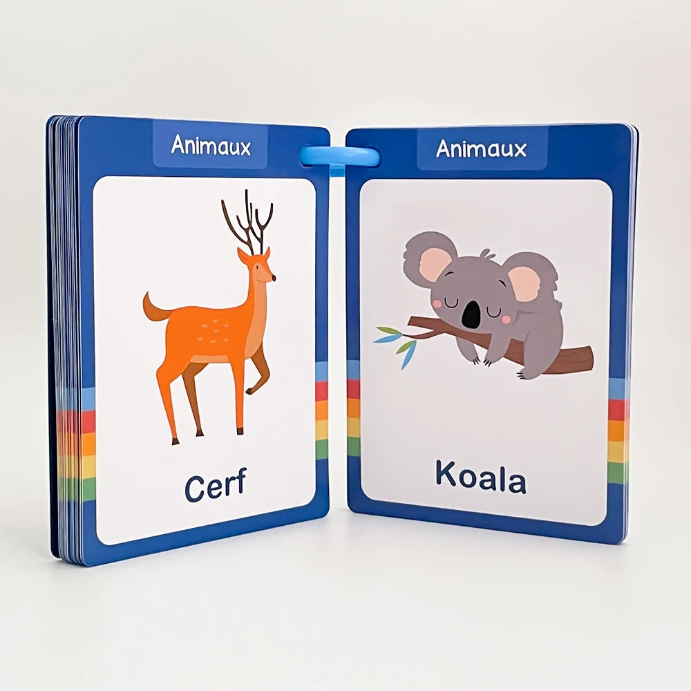 French Vocabulary Flashcards for Kids - Food, Animals, Fruits & Body Parts