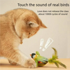 Interactive Plush Bird Cat Toy with Sound and Catnip