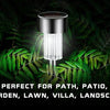 A silver solar powered garden lantern light with a clear glass shade surrounded by green foliage.