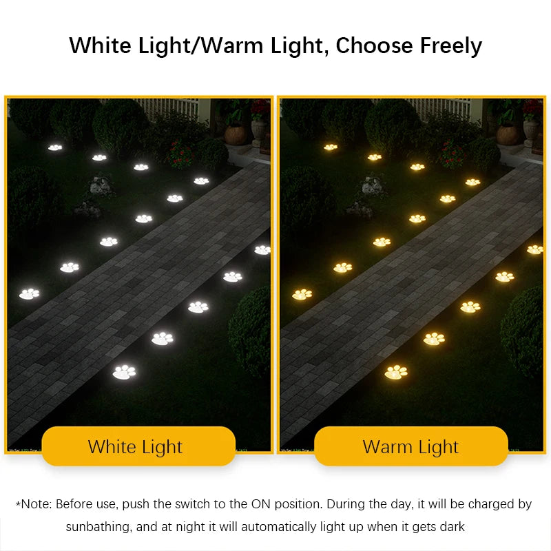 Two options for pathway lights showing white and warm light illumination on a dark garden path.