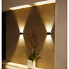 A modern wall light illuminates a dried plant display with upward and downward glow on a beige wall.