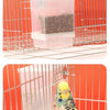 A transparent anti-spill parrot feeder containing dark seeds inside a metal cage.