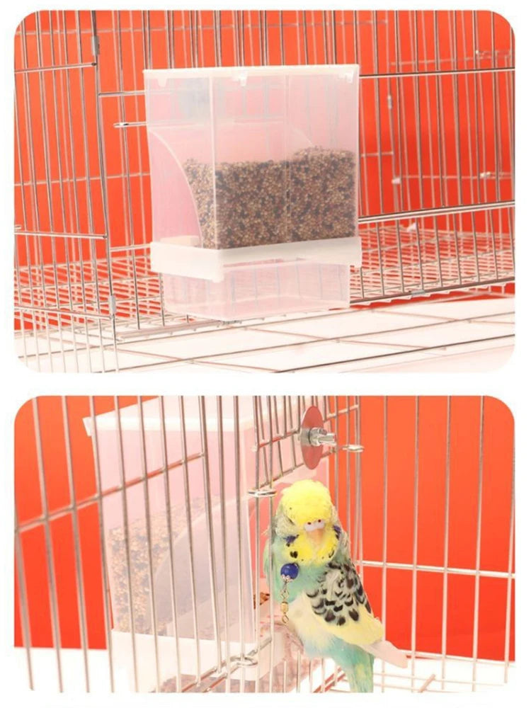 A transparent anti-spill parrot feeder containing dark seeds inside a metal cage.