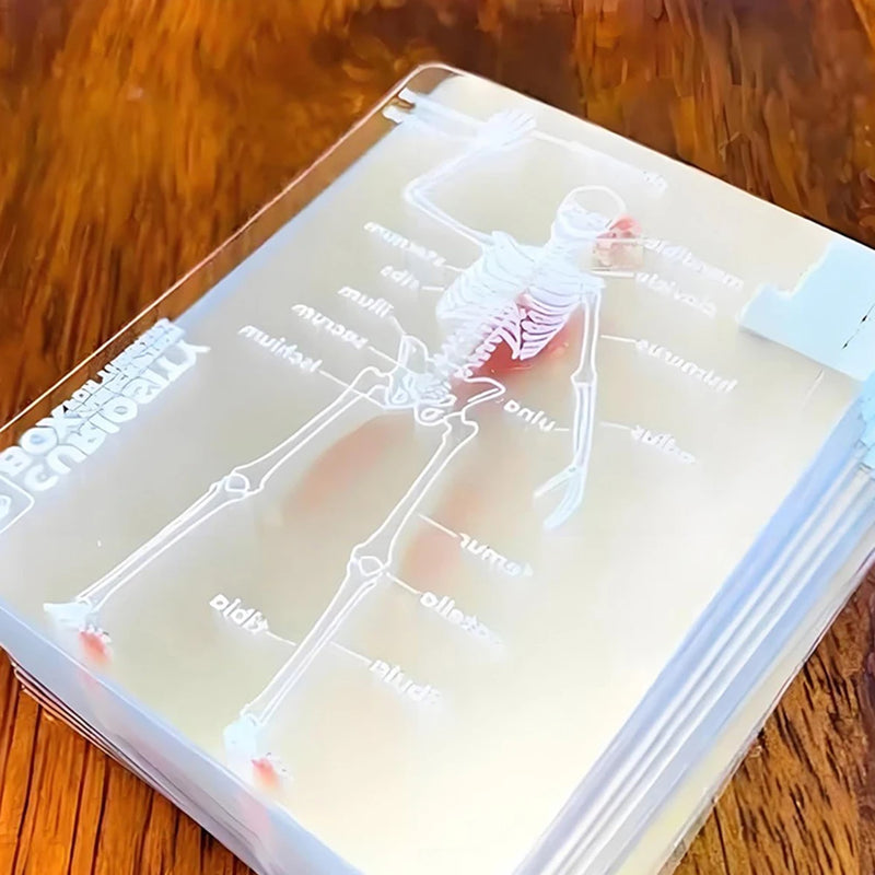 Transparent Anatomy Playing Cards