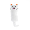 Interactive Plush Cat Toy with Squeaker and Catnip