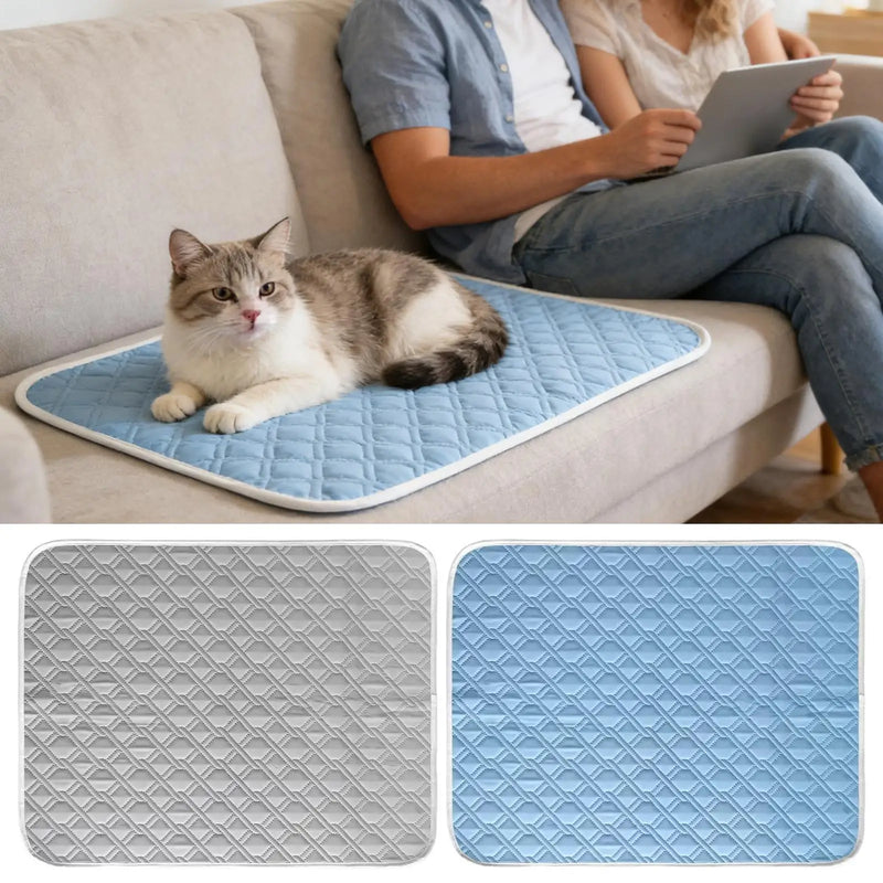 Tapis Rafraîchissant pour Chiens et Chats