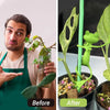 Frog-Shaped Plant Support & Vine Climbing Holder Set