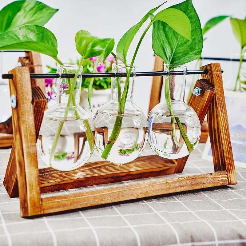 Tabletop Glass Planter Propagation Station with Wooden Rack