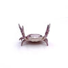 Funny Crab Desktop Pen Holder